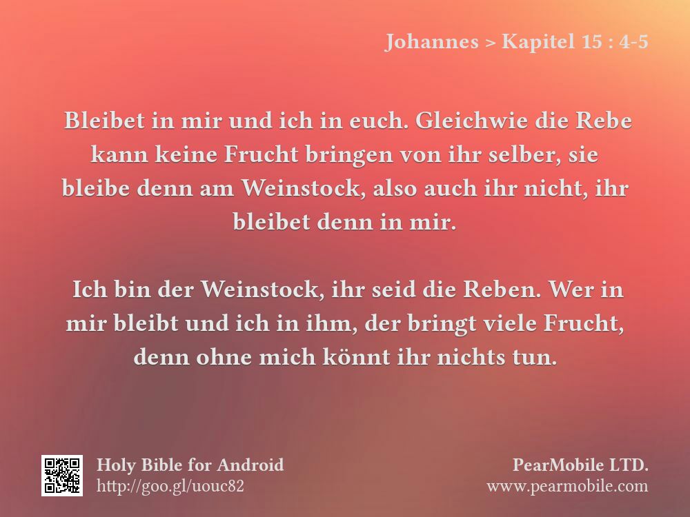 Johannes, Kapitel 15:4-5